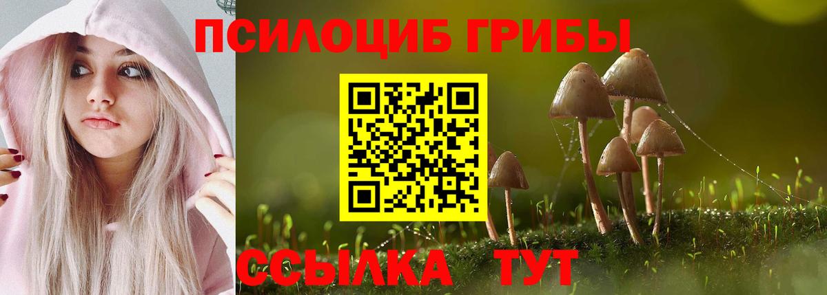 Галлюциногенные грибы GOLDEN TEACHER Фролово